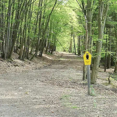 Dreimal Seeblick Appartamento Bringhausen