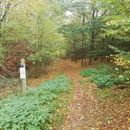 Dreimal Seeblick Bringhausen