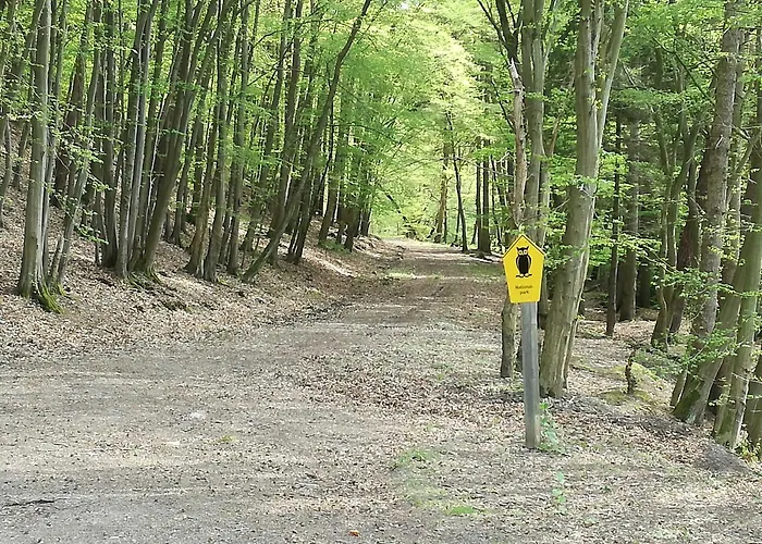 Dreimal Seeblick Apartment Bringhausen