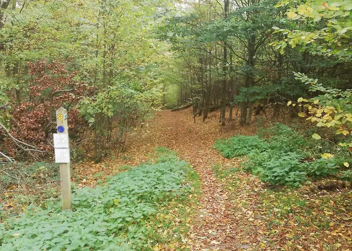 Dreimal Seeblick Bringhausen